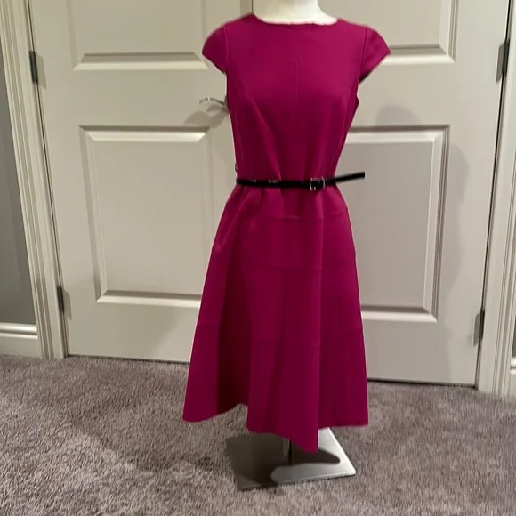 anne klein pink dress Anne Klein Pink Seamed Cap Sleeves A-Line Black Belted Dress